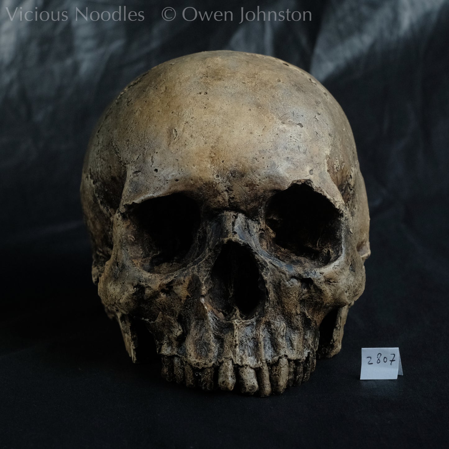 Human skull replica, highly weathered finish