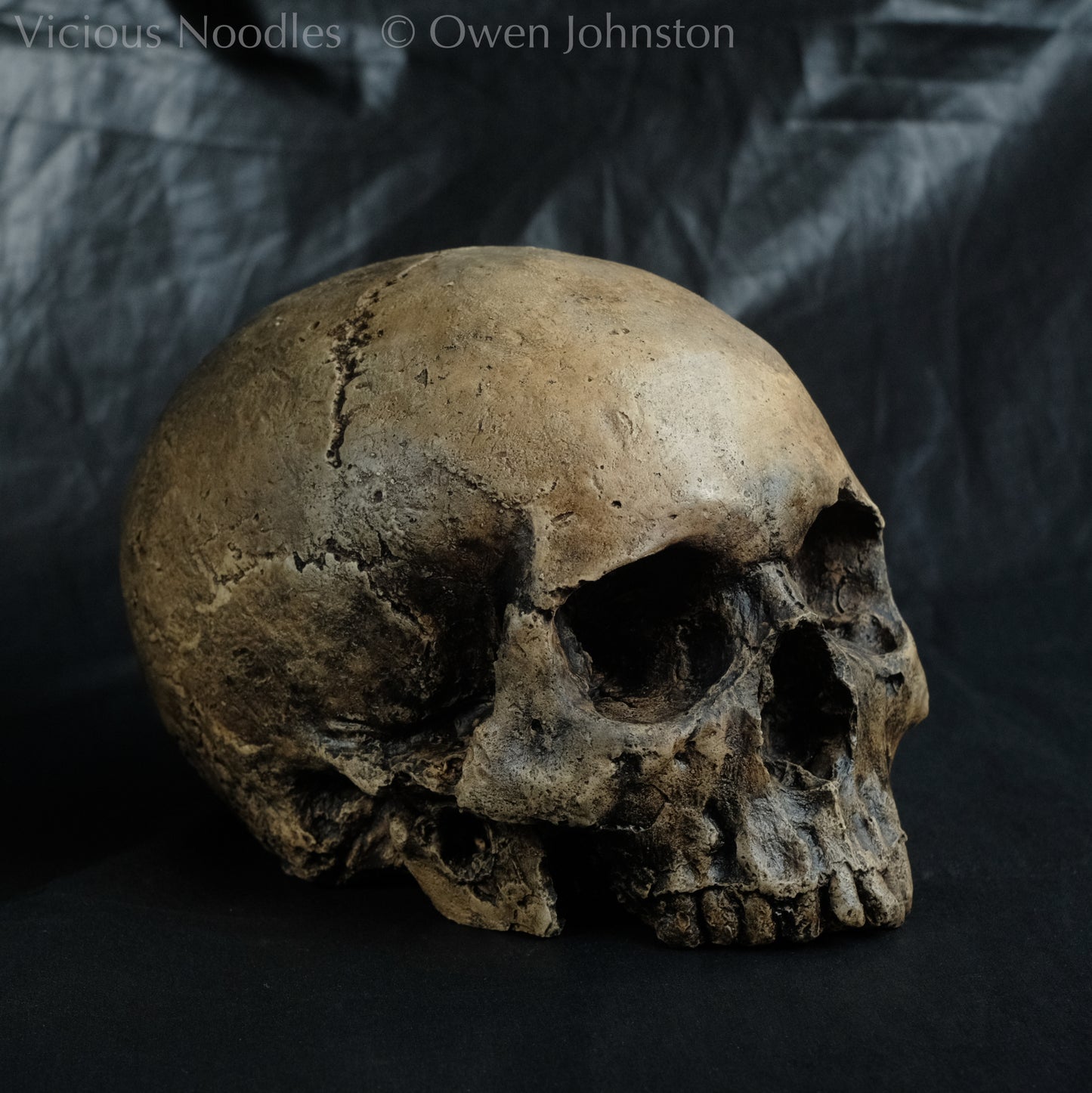 Human skull replica, highly weathered finish