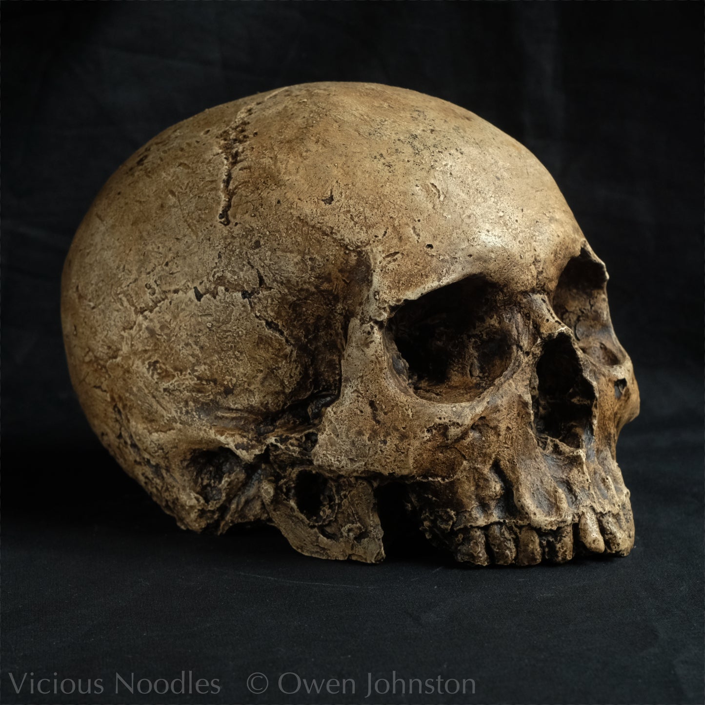 Human skull replica, highly weathered natural finish