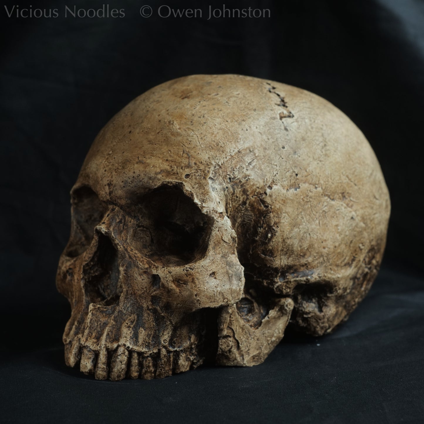 Human skull replica, highly weathered natural finish