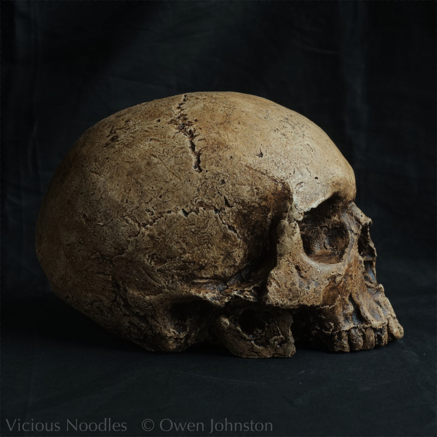 Human skull replica, highly weathered natural finish