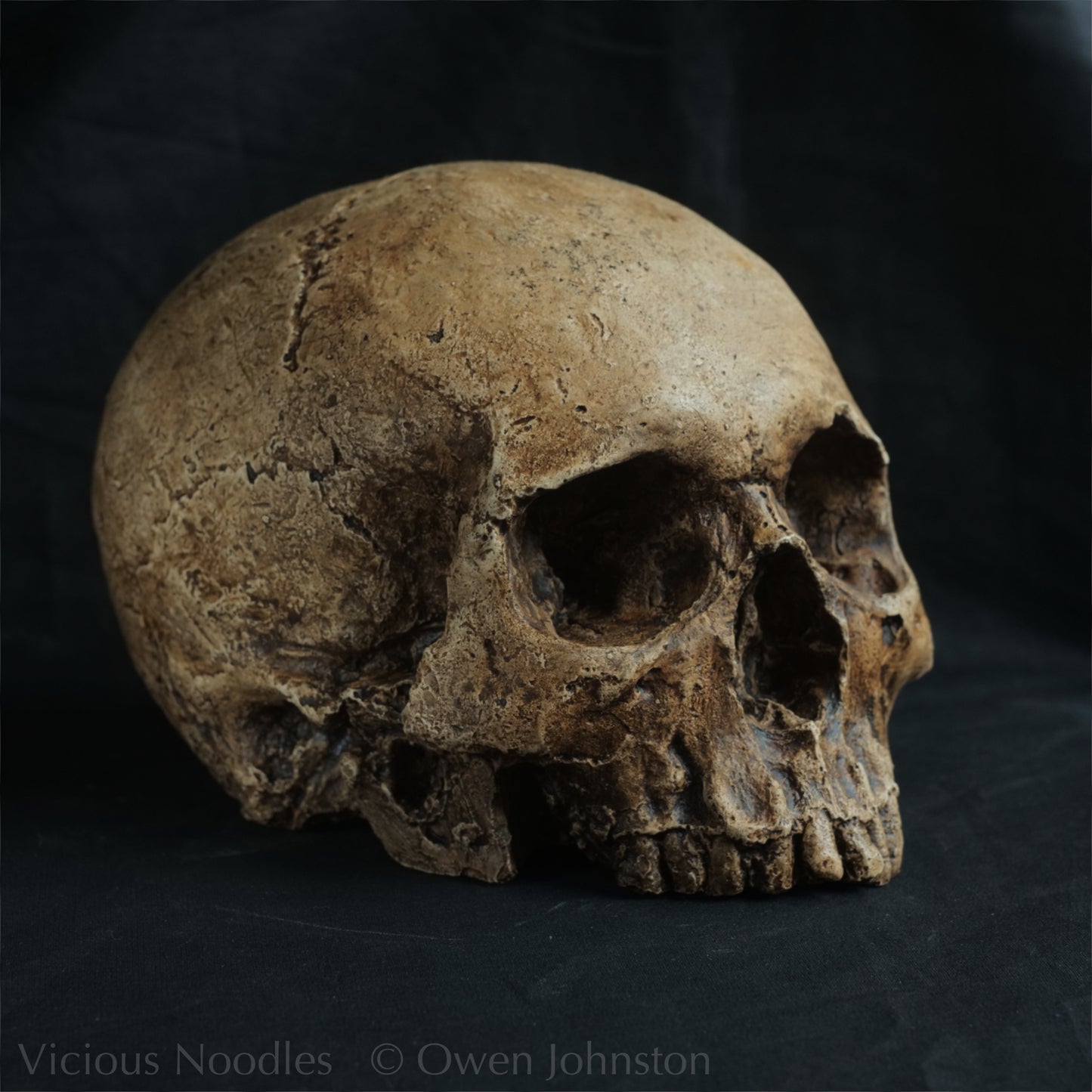 Human skull replica, highly weathered natural finish