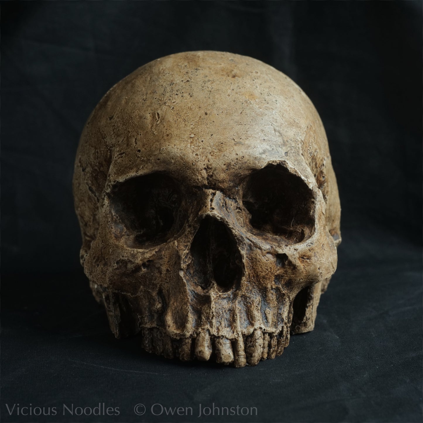 Human skull replica, highly weathered natural finish