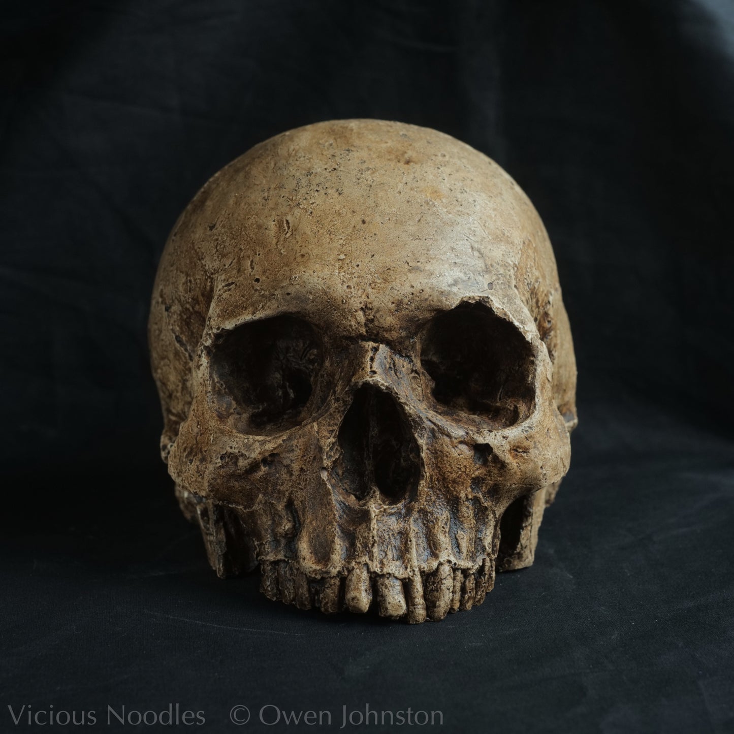 Human skull replica, highly weathered natural finish