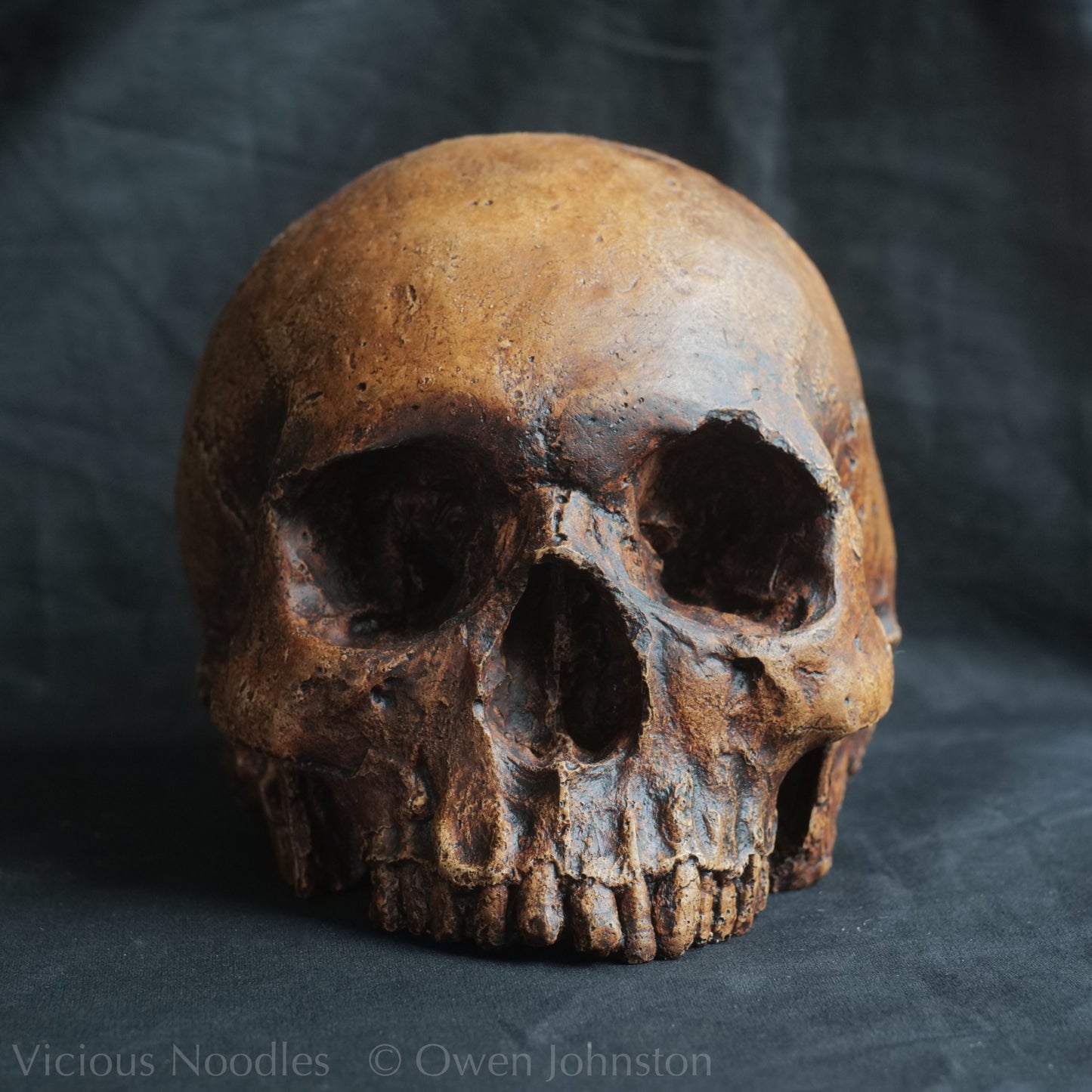 Human skull replica, antique fossil finish, reddish brown