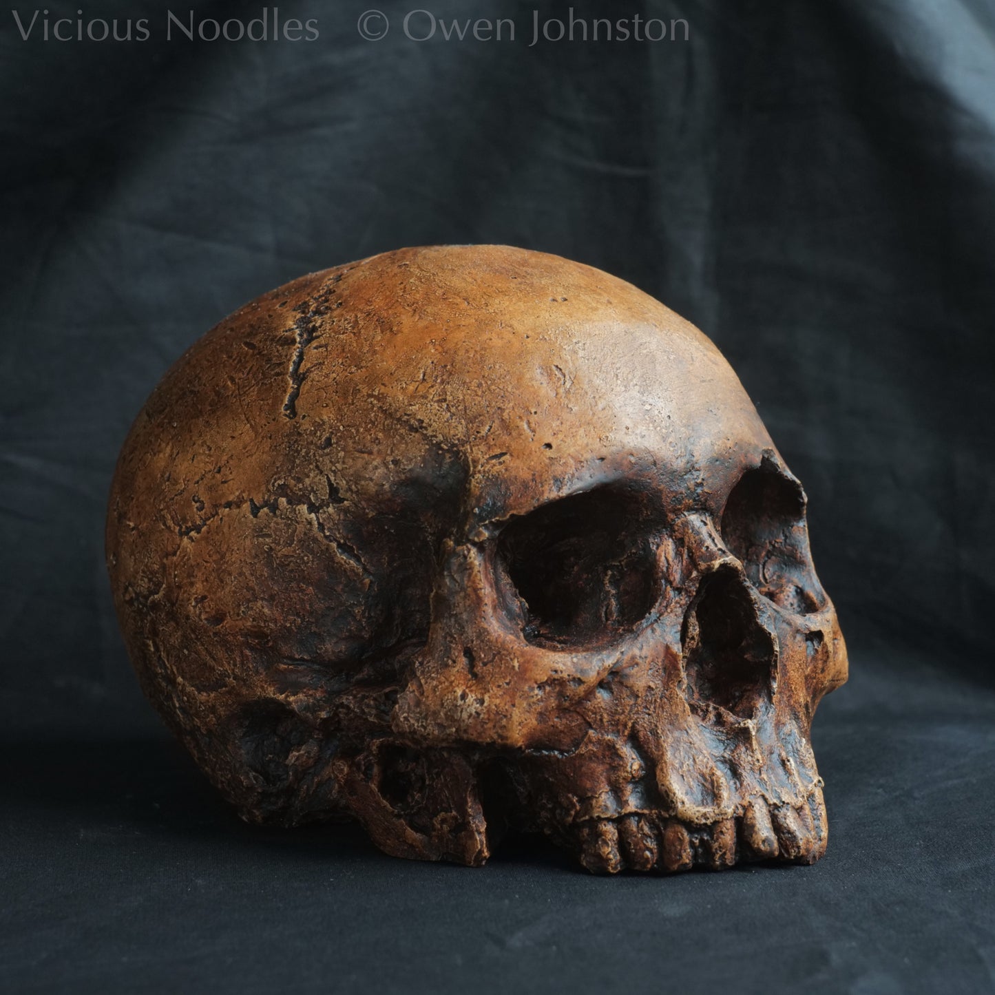 Human skull replica, antique fossil finish, reddish brown