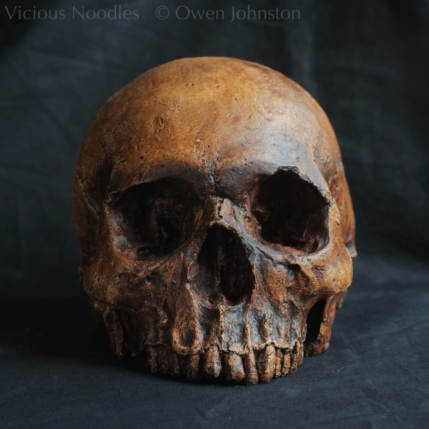 Human skull replica, antique fossil finish, reddish brown
