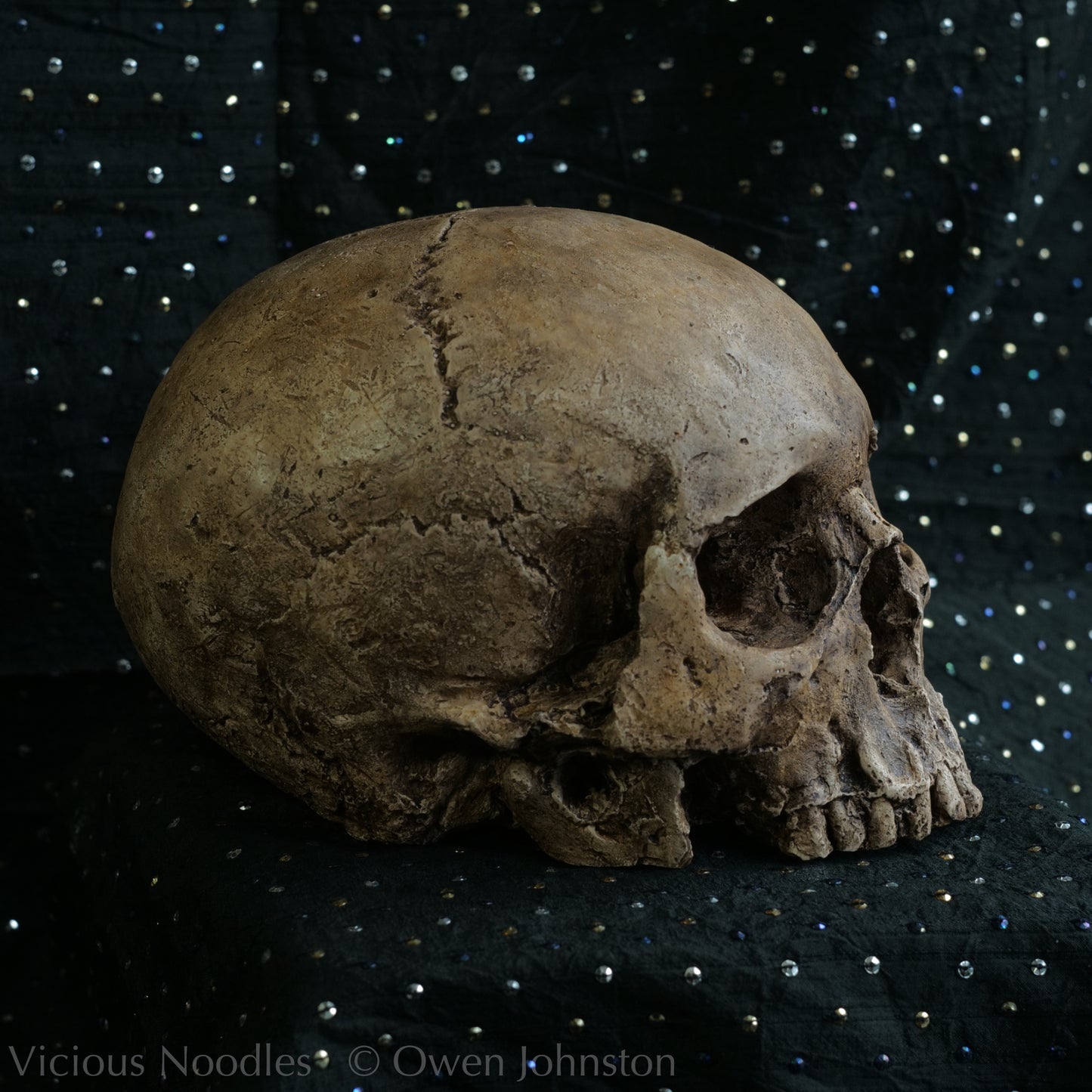 Human skull replica, highly weathered natural finish