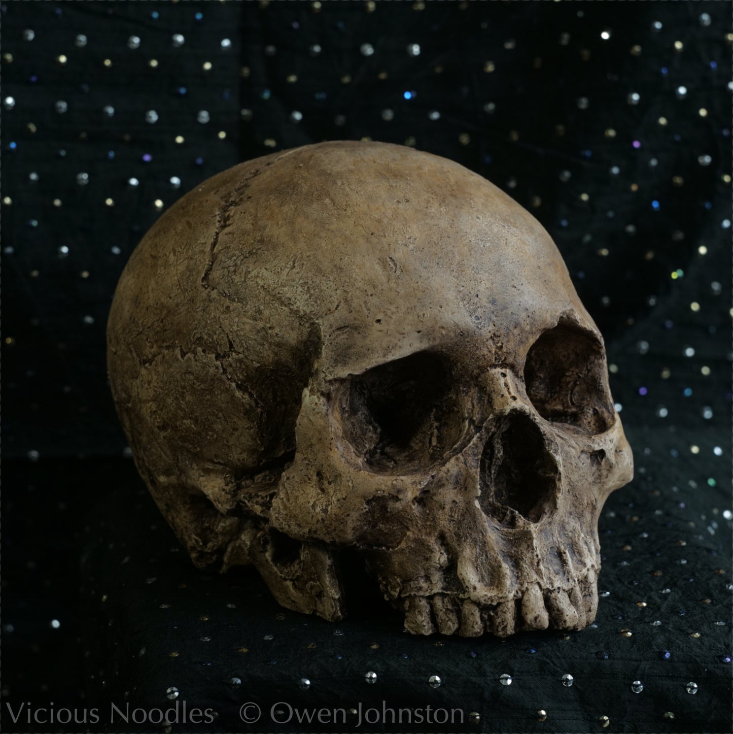 Human skull replica, highly weathered natural finish