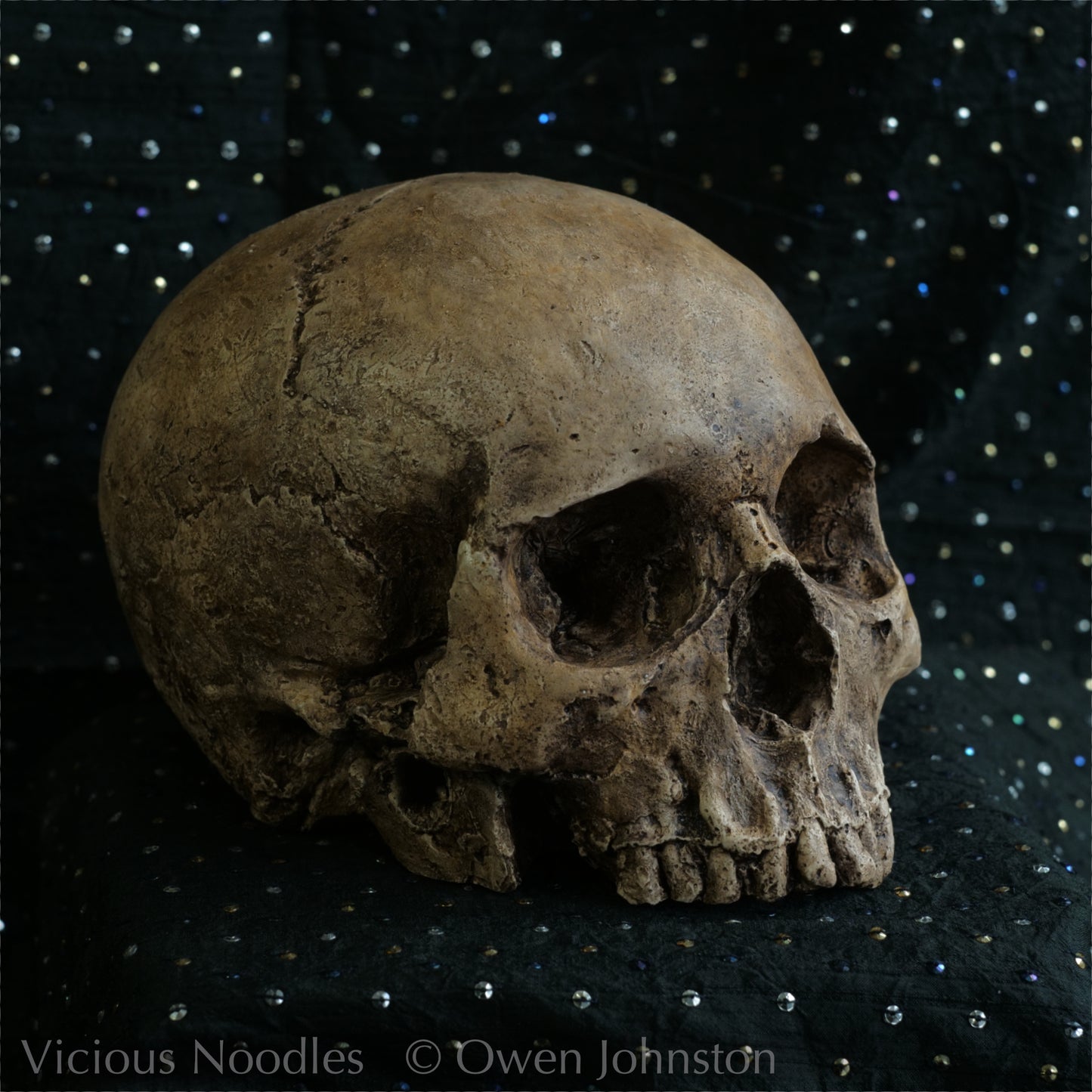 Human skull replica, highly weathered natural finish