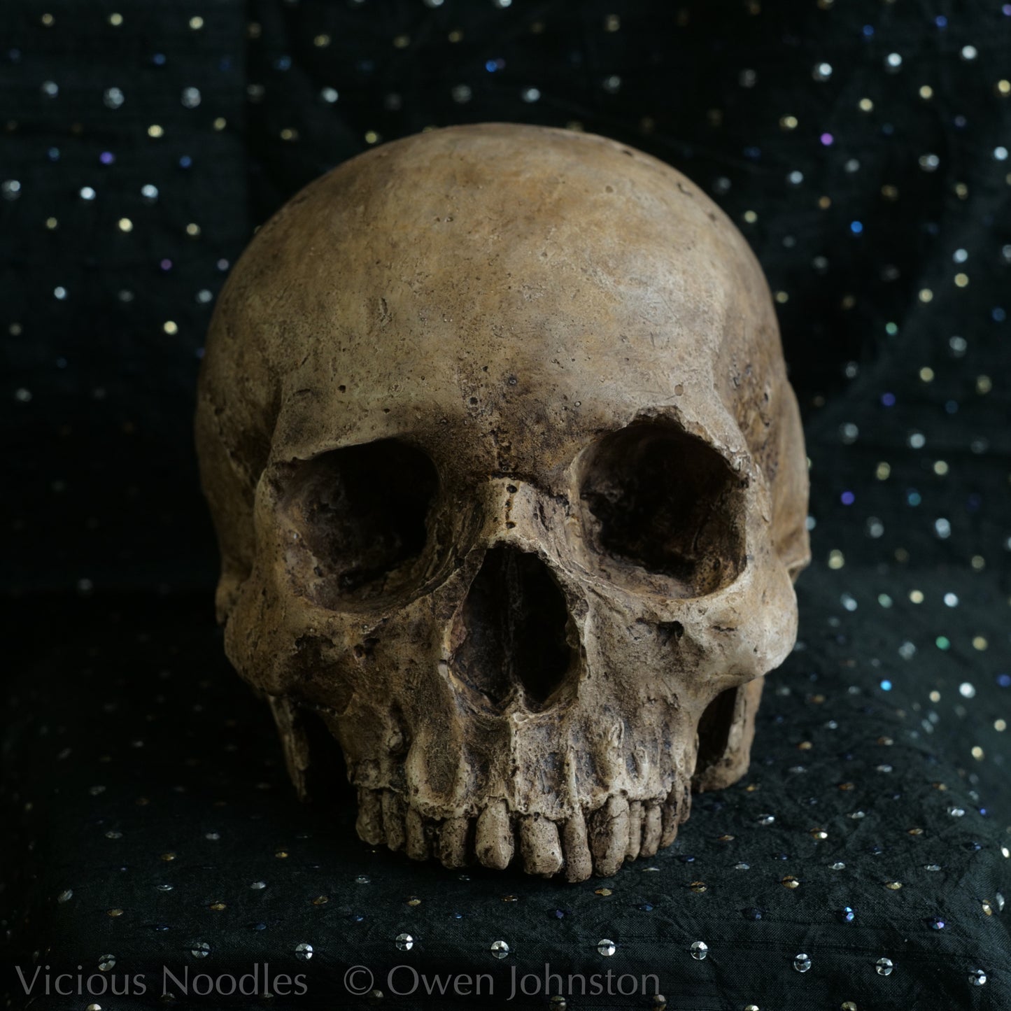 Human skull replica, life size, painted for a highly aged appearance.