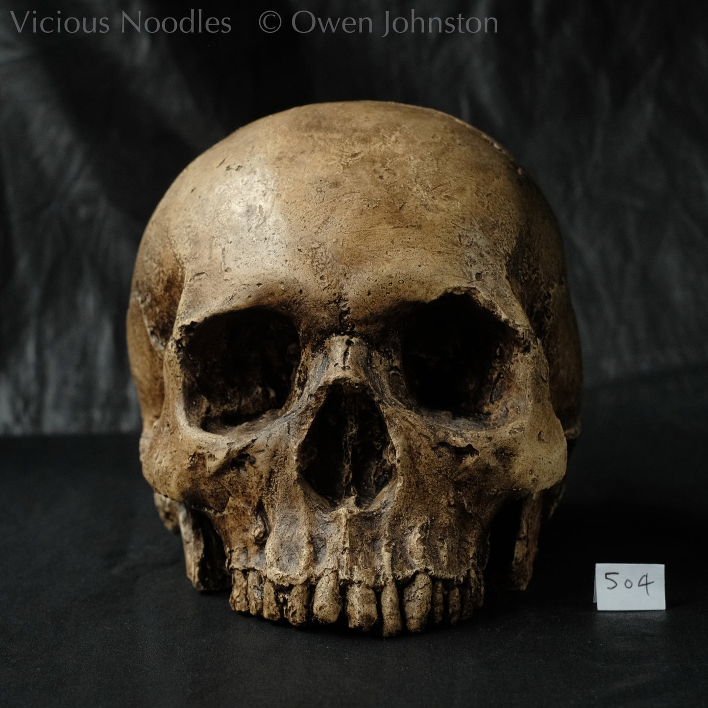 A realistic human skull replica without lower jaw, ancient looking and highly weathered, reddish brown.